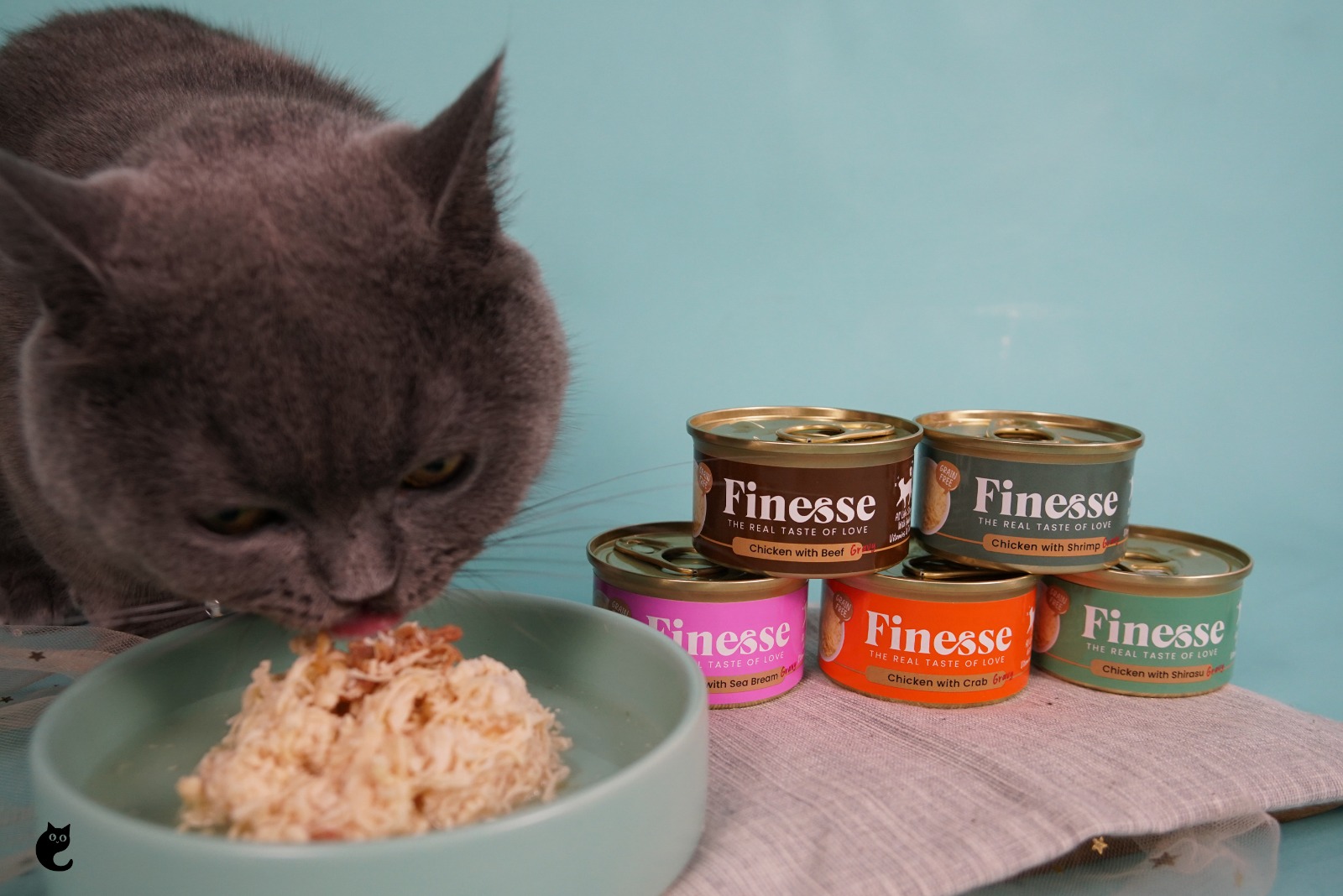 dusty eating finesse wet food